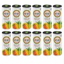 Vit Hit Eistee Sparkling Mango Ananas (12x330ml Dose)