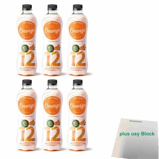 Sodapop Classic Sirup Orange für Wassersprudler 6er Pack (6x 500ml Flasche) + usy Block