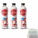 Sodapop Classic Sirup Himbeere für Wassersprudler 3er Pack (3x 500ml Flasche) + usy Block