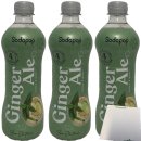 Sodapop Sirup Ginger Ale für Wassersprudler 3er Pack (3x 500ml Flasche) + usy Block