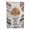 Caputo Farina Manitoba (1kg Packung Pizzamehl)