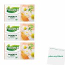 Pickwick Herbal Camomile Honey 3er Pack (Kamilletee mit...