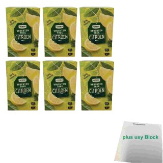 Jumbo Vruchten Thee Citroen 6er Pack (Früchtetee Zitrone, 6x 20x1,5g Teebeutel) + usy Block