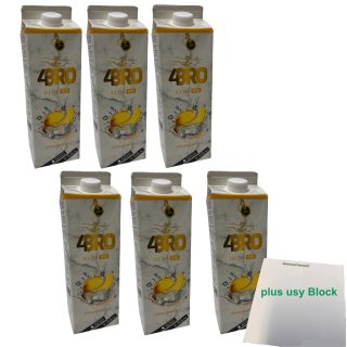 4Bro Ice Tea Honey Melon 6er Pack (6x1000ml Pack Eistee Honigmelone) + usy Block