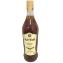 Artemi Ron Miel Canario 20% 3er Pack (3x1l Flasche Rum mit Honig) + usy Block