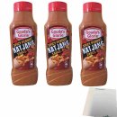 Goudas Glorie Spicy Peanut Katjang Sauce 3er Pack...