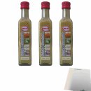 Hela Salad & Sandwich Kerrie - Ananas 3er Pack (3x250ml Flasche) + usy Block