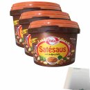 Hela Satésaus mit Erdnuss-Stücken 3er Pack (3x500g Becher) + usy Block