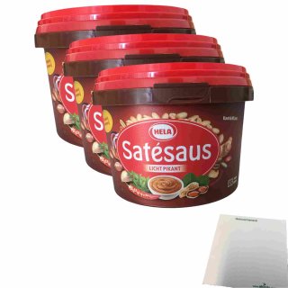 Hela Satésaus leicht pikant 3er Pack (3x500g Becher) + usy Block
