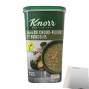 Knorr Professional Bloemkool-Broccoli Soep (850g Dose, Blumenkohl-Brokkoli-Suppenpulver für 9 Liter) + usy Block