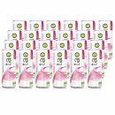 tao Organic Tea Energizer Granatapfel (24x250ml Dose)
