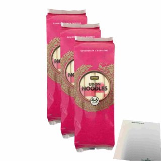 Jumbo Udon Nudeln 3er Pack (3x300g Packung) + usy Block