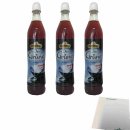 Pfanner Der Grüne Zitrone-Kaktusfeige Geschmack Sirup 3er Pack (3x700ml Flasche) + usy Block