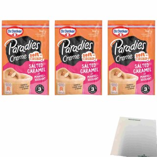 Dr. Oetker Paradies Creme softn crisp Salted Caramel mit Mandelkrokant 3er Pack (3x72g Beutel) + usy Block