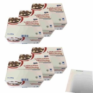 aro Lebkuchen Mischung 6er Pack (6x1kg Packung) + usy Block