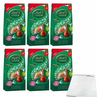 Lindt Lindor Nuss-Mischung 6er Pack (6x137g Beutel) + usy Block