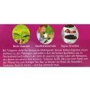 Teekanne Waldbeere 4er Pack (4x20 Teebeutel)
