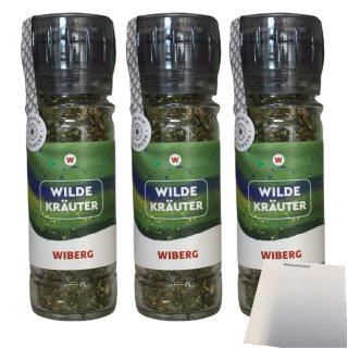 Wiberg Wilde Kräuter 3er Pack (3x60g Glas) + usy Block