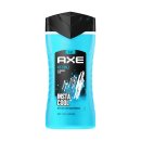 AXE Duschgel Ice Chill 6er Pack (6x250ml) + usy Block