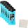 AXE Duschgel Ice Chill 6er Pack (6x250ml) + usy Block