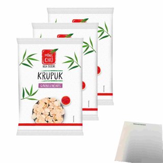 Ming Chu Garnelenchips Krupuk 3er Pack (3x100g Packung) + usy Block