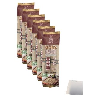 Eaglobe Soba Buchweizen-Nudeln 6x300g (6er Pack) + usy Block