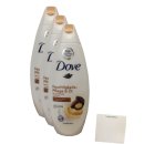 Dove Feuchtgkeitspflege und Öl 3er Pack (3x250ml Flasche) + usy Block