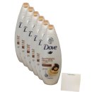Dove Feuchtgkeitspflege und Öl 6er Pack (6x250ml Flasche) + usy Block