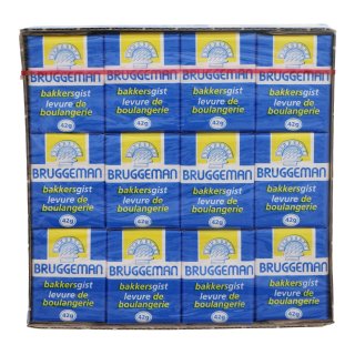 Gist mini Pak 12 stuks x 42 gram