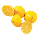 Chocolade citroen Doos 256 gram