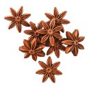 Chocolade steranijs Doos 54 stuks x 3,3 gram