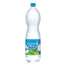 Appel 6 petflessen x 1,5 liter