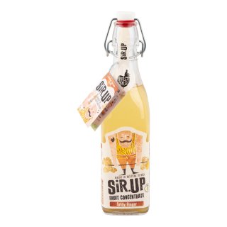 Frisdrank spicy ginger Flesje 50 cl