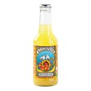 Orangeade, BIO 12 flesjes x 25 cl