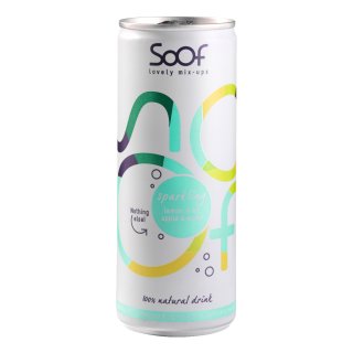 Soof Sparkling Lemon, Mint, Apple & Water (12x250ml Dose)