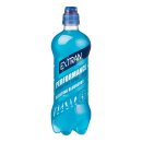 Performance blueberry 6 petflesjes x 50 cl