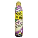 Balea Trend it Up Crazy Vanila Voluminöses Haarspray (300ml)