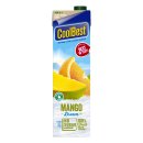 Vruchtensap mango dream Pak 1 liter