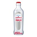 Natuurlijk mineraalwater bruisend 24 flesjes x 25 cl