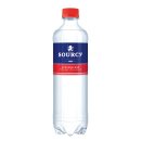 Rood pet 6 petflesjes x 50 cl