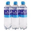 Mineraalwater blauw koolzuurvrij pet 6 petflesjes x 50 cl