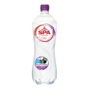 Bruisend blackcurrant 6 petflessen x 1 liter