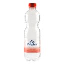 Water koolzuurhoudend 2 multipacks x 9 petflesjes x 50 cl
