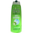 Garnier Fructis Anti-Schuppen Shampoo (250ml Flasche)