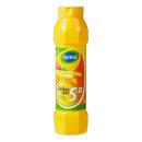 Remia Pommes Frites Sauce (800ml Flasche)
