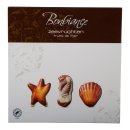 Chocolade zeevruchten Doos 250 gram