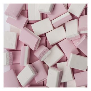 Schuimblokken Zuur 200 st Doos 200 stuks