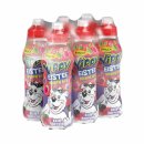 Yippy Eistee Beeren-Mix (6x0,33l Flasche) + usw Block