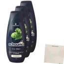 Schauma Shampoo For Men mit Hopfen 3er Pack (3x400ml Flasche) + usy Block