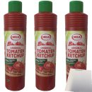Hela Tomaten Ketchup fruchtig 3er Pack (3x800 ml Tube) + usy Block